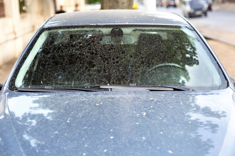 Hard Water Spots on Automotive Paint.