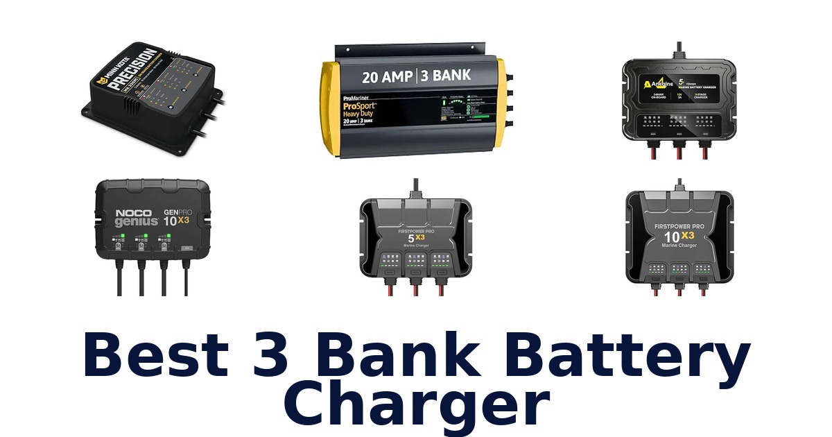 Best 3 Bank Battery Charger