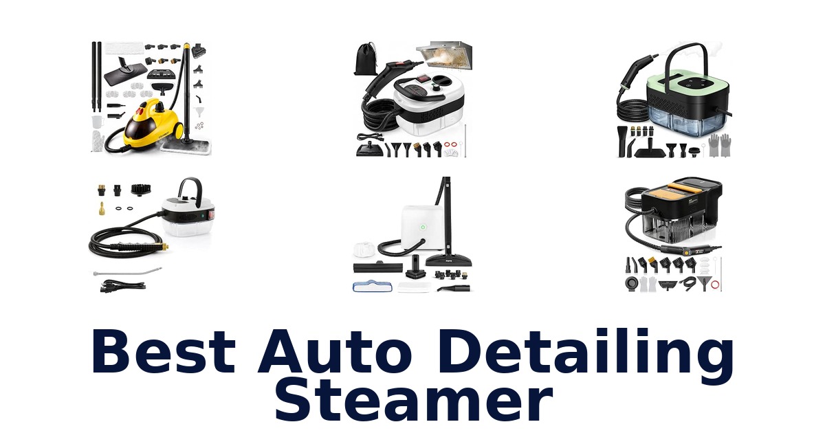 Best Auto Detailing Steamer