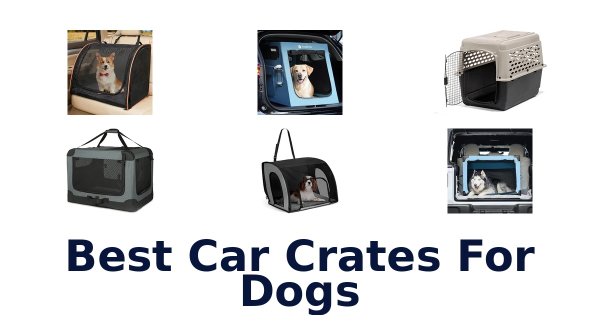 Best Car Crates For Dogs