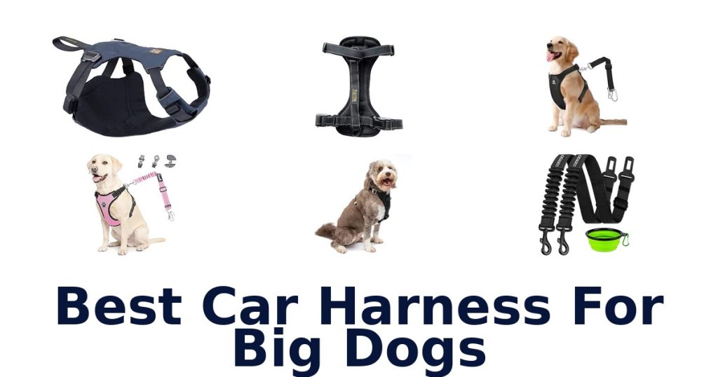 Best Car Harness For Big Dogs