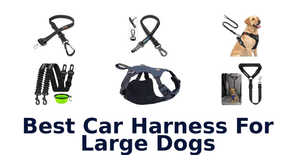 Best Car Harness For Large Dogs