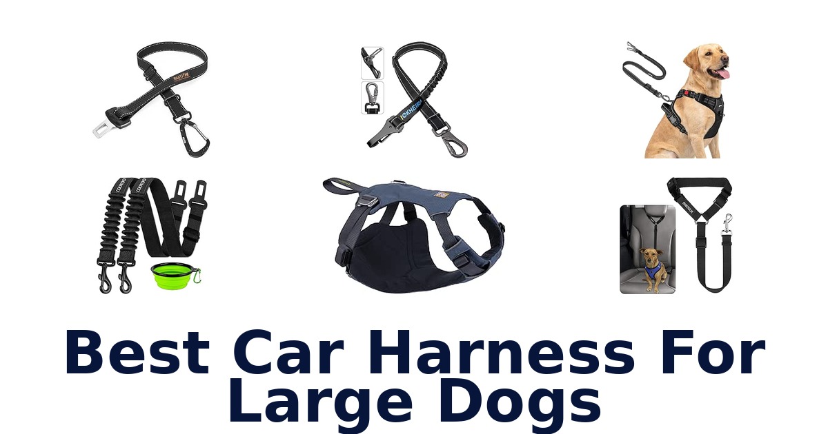 Best Car Harness For Large Dogs