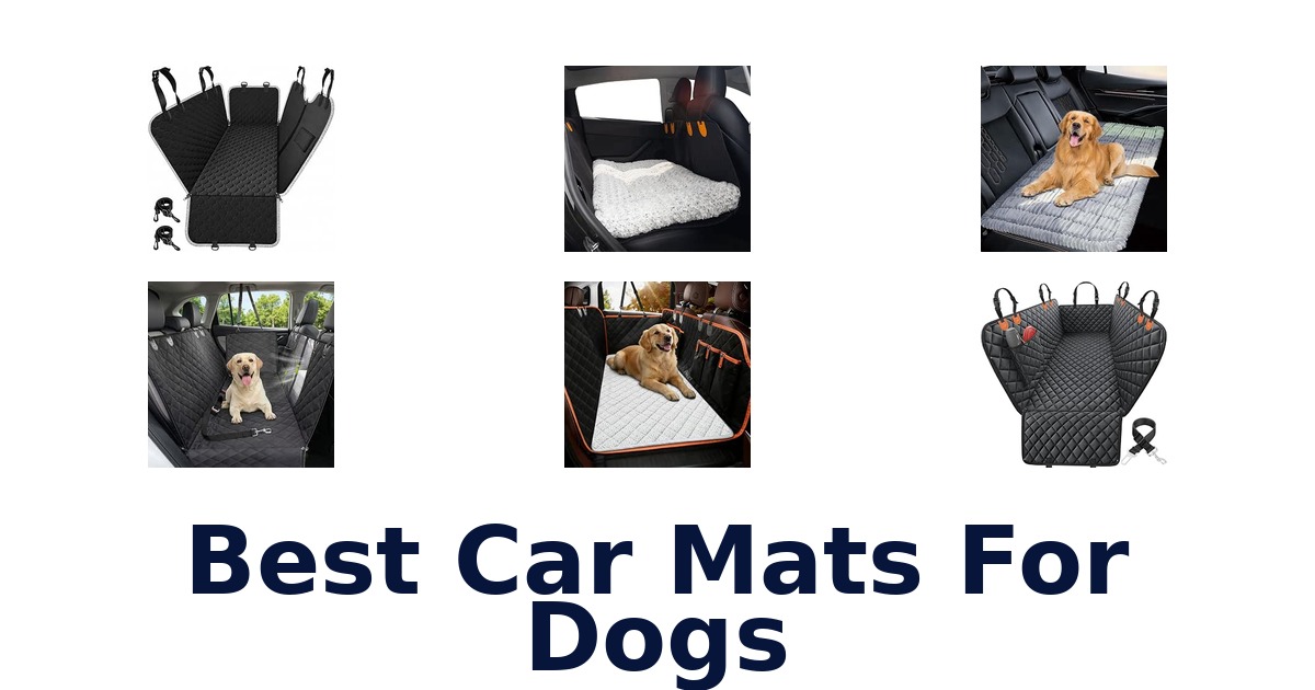 Best Car Mats For Dogs