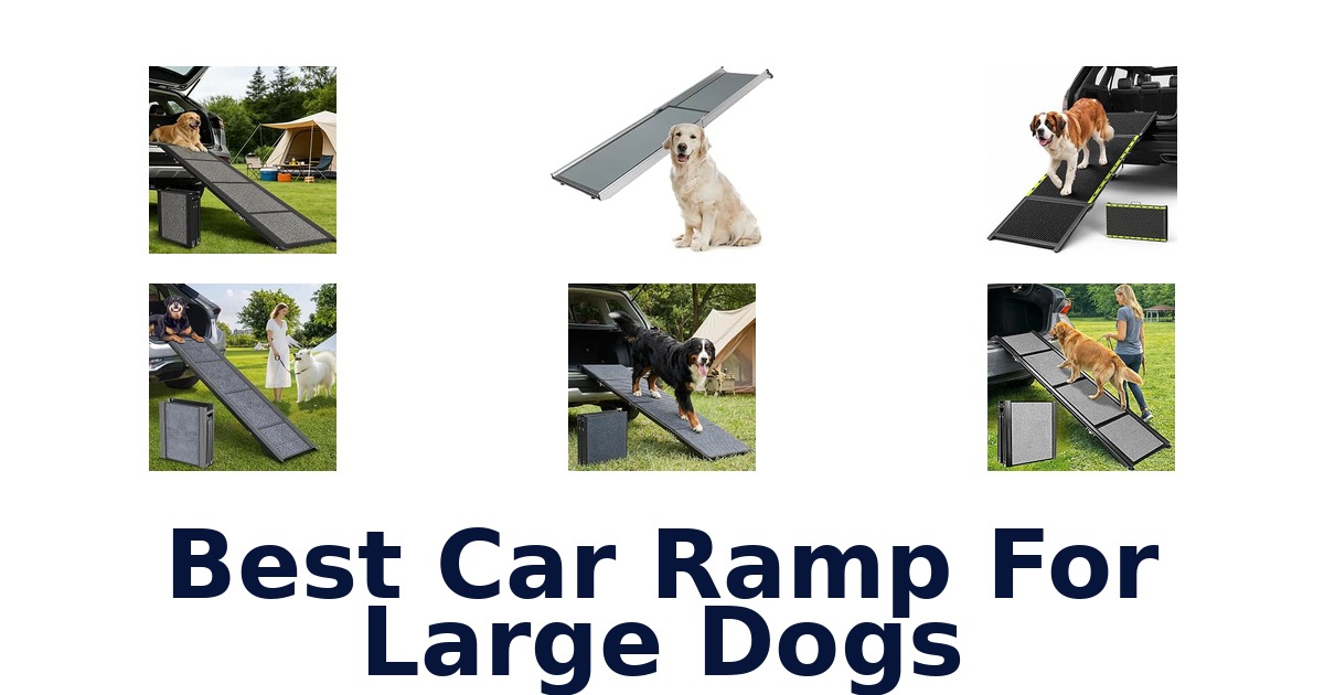 Best Car Ramp For Large Dogs