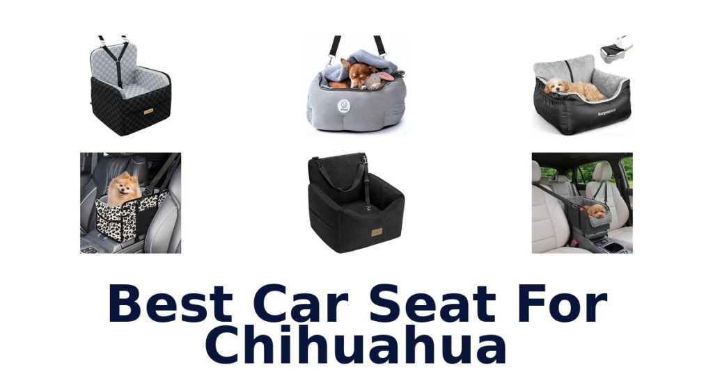 Best Car Seat For Chihuahua