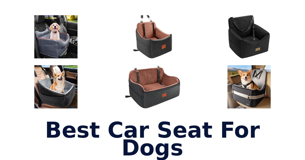 Best Car Seat For Dogs