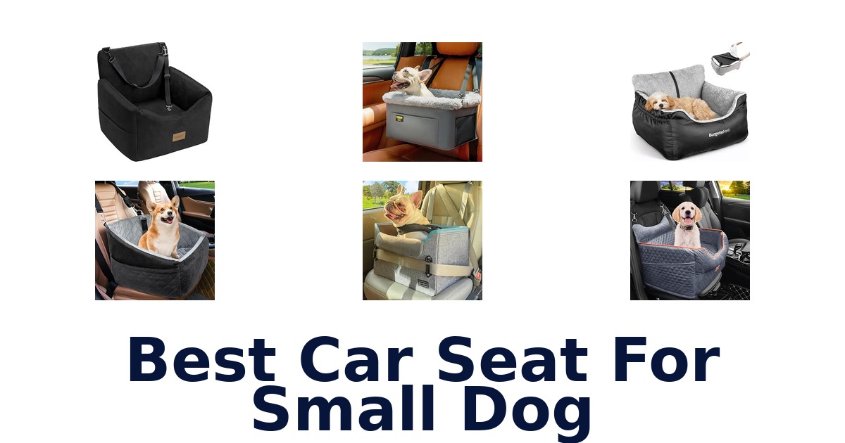 Best Car Seat For Small Dog