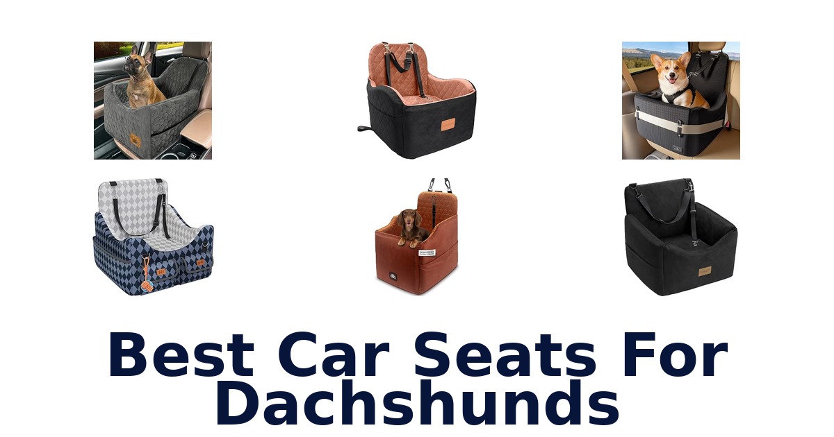 Best Car Seats For Dachshunds