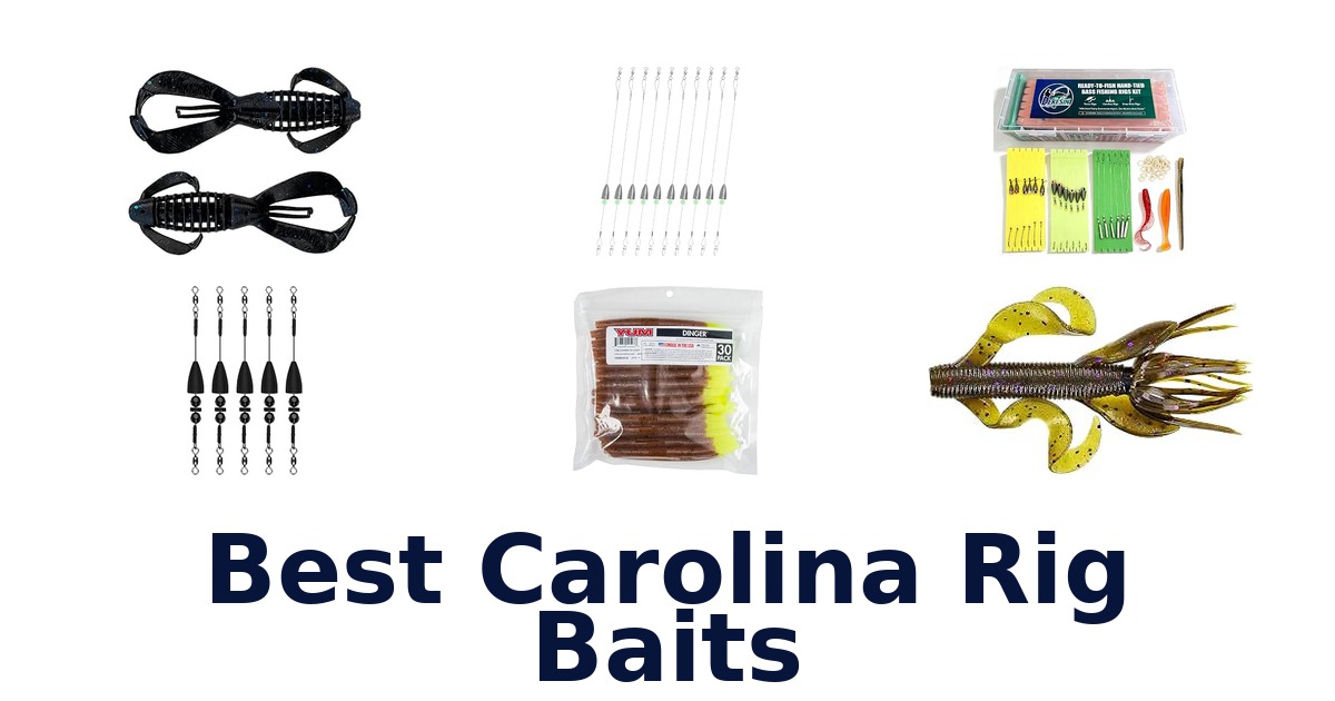 Best Carolina Rig Baits