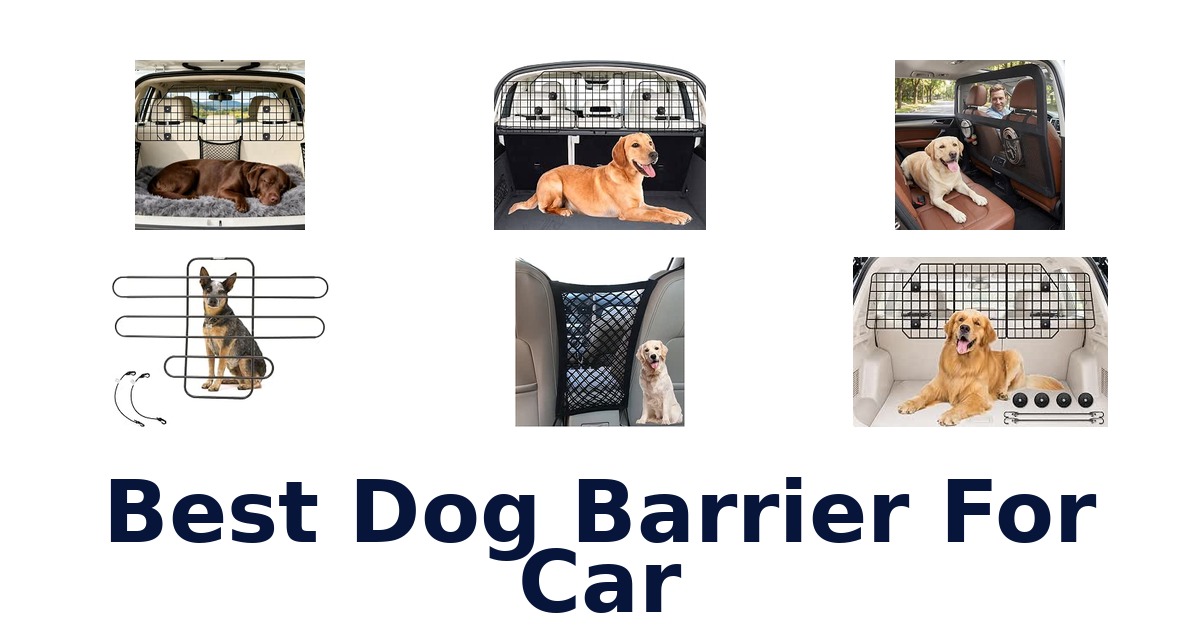 Best Dog Barrier For Car