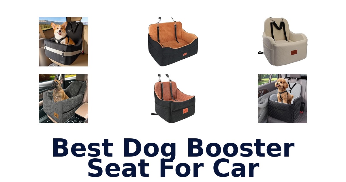 Best Dog Booster Seat For Car