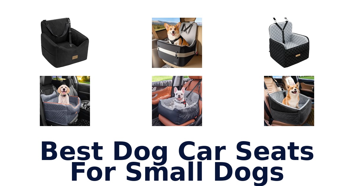 Best Dog Car Seats For Small Dogs