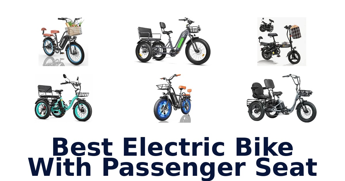 Best Electric Bike With Passenger Seat