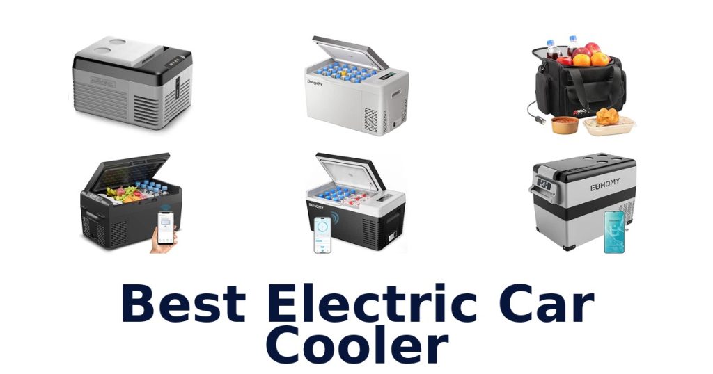 Best Electric Car Cooler