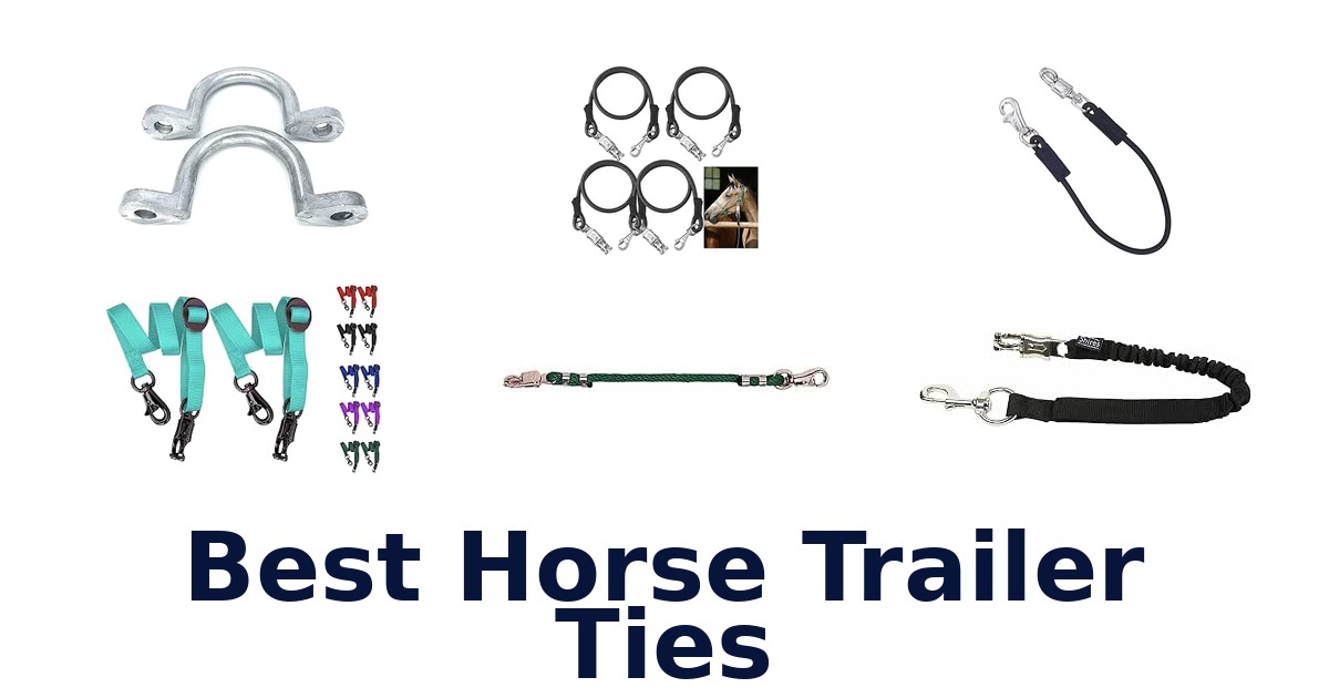 Best Horse Trailer Ties