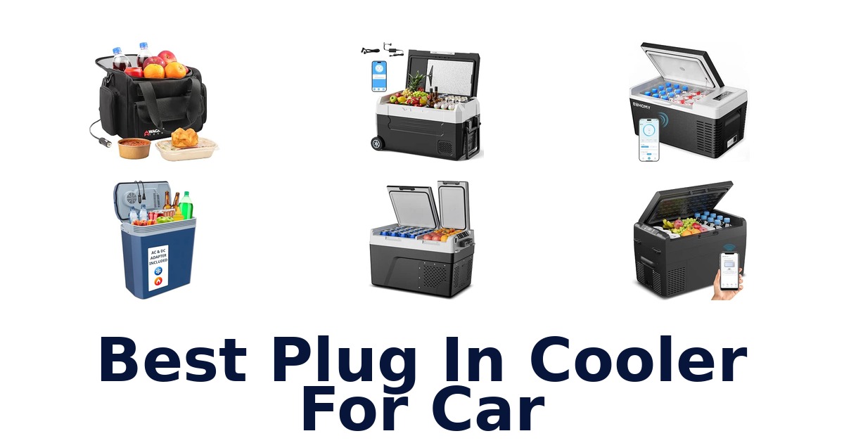 Best Plug In Cooler For Car