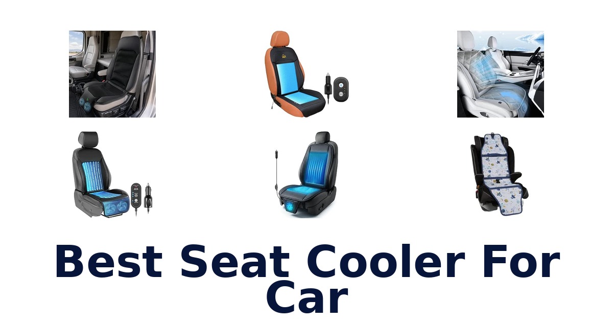 Best Seat Cooler For Car