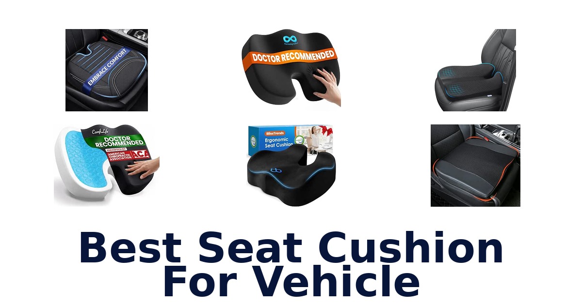 Best Seat Cushion For Vehicle