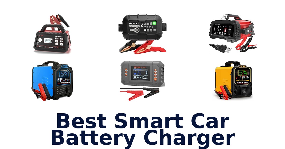 Best Smart Car Battery Charger