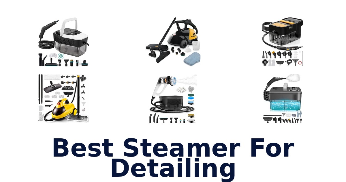 Best Steamer For Detailing