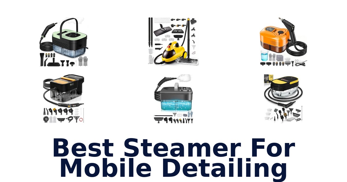 Best Steamer For Mobile Detailing