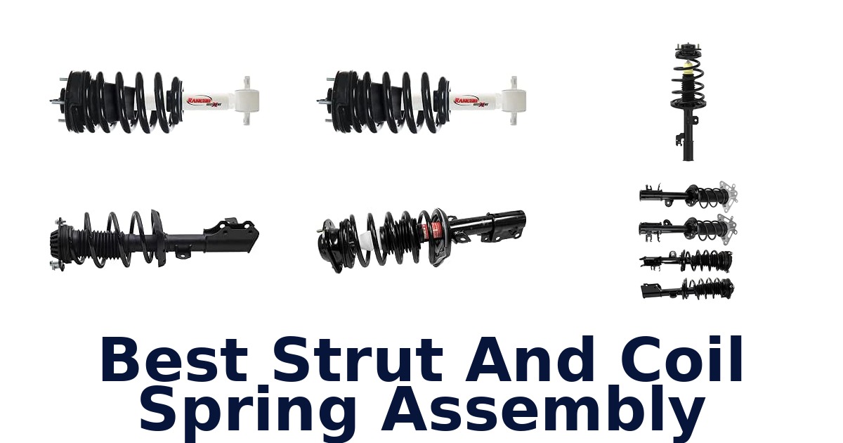 Best Strut And Coil Spring Assembly